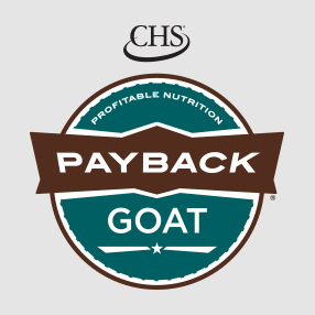 Payback Goat Feed