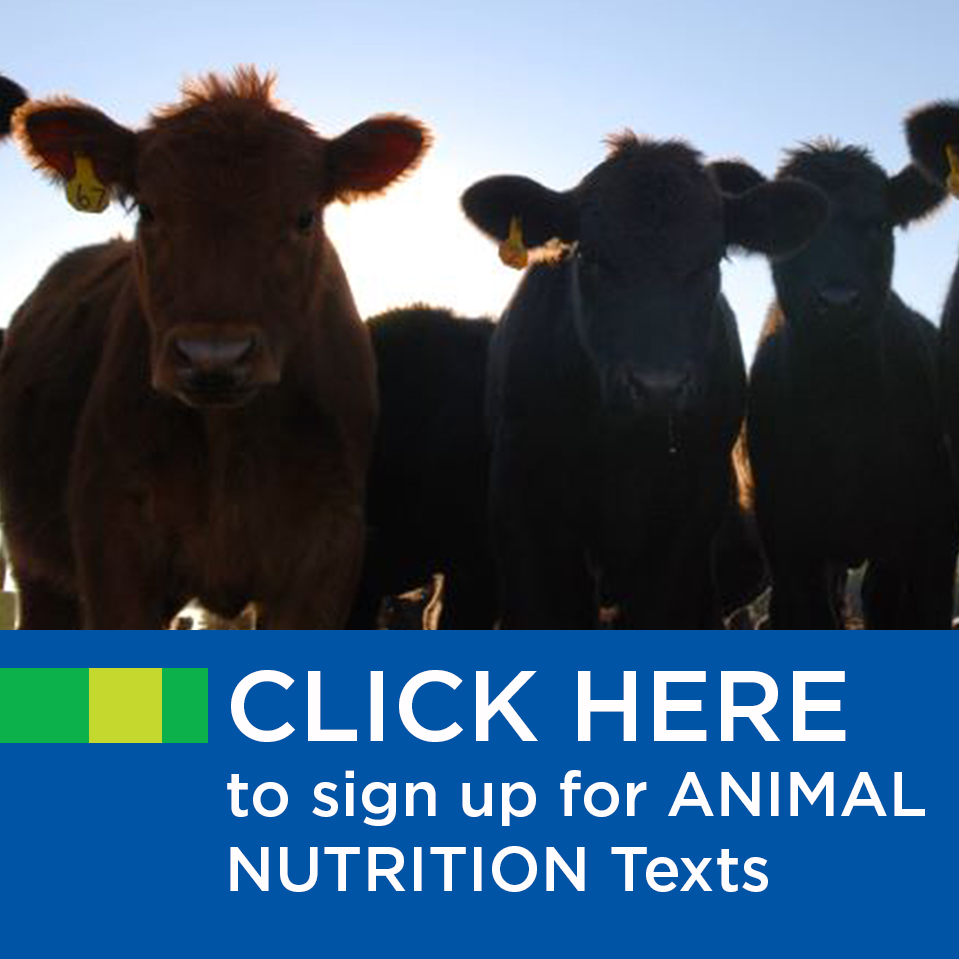 Click here to sign up for Nutrition texts