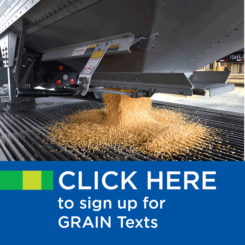 Click here to sign up for Grain texts