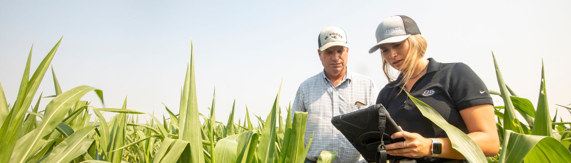 Two growers in a field