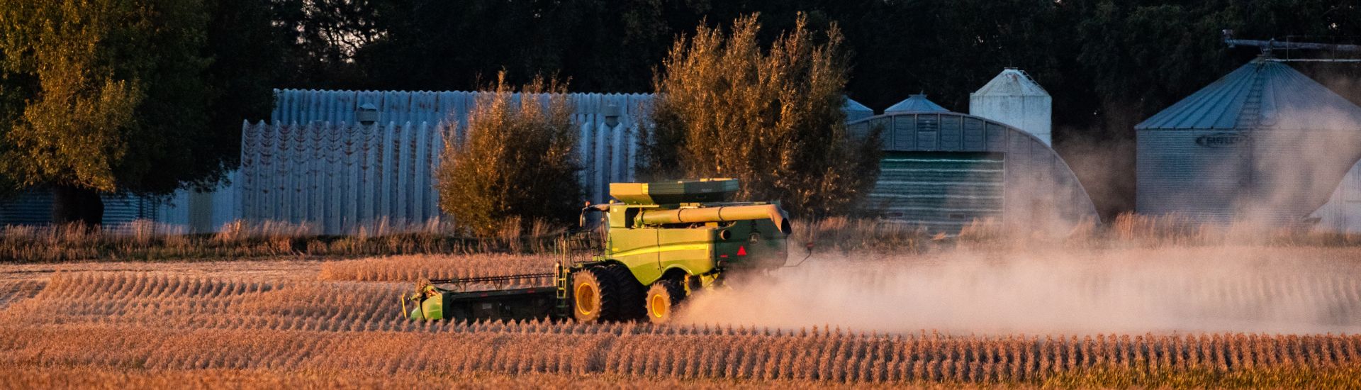 Soybean harvest