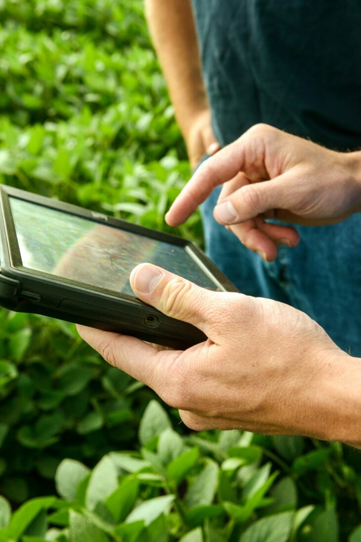 Man's hands holding a tablet while standing in a young soybean field