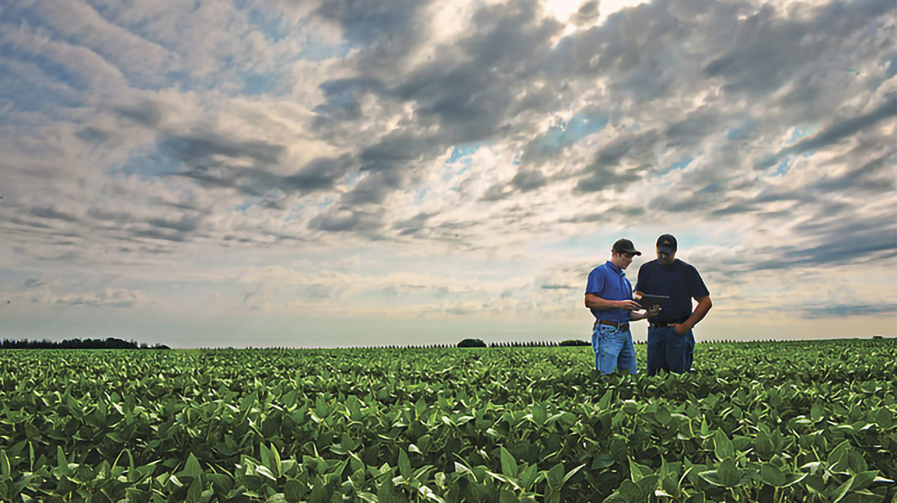 Two men standing in a field with young crops