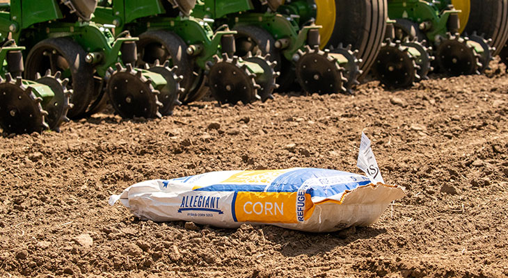 Allegiant corn bag sitting in the field