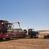 Grain harvest market update